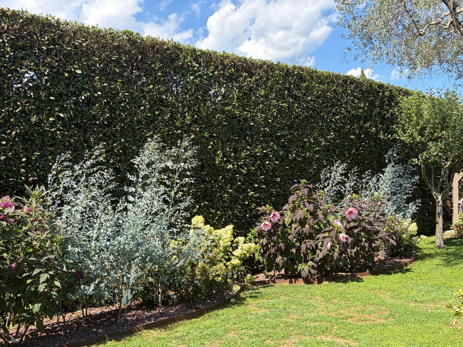 Realizzazione giardino a Forte dei Marmi